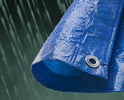 Blue Economy Poly Tarps 