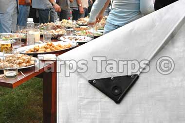 White Heavy Duty Tarp